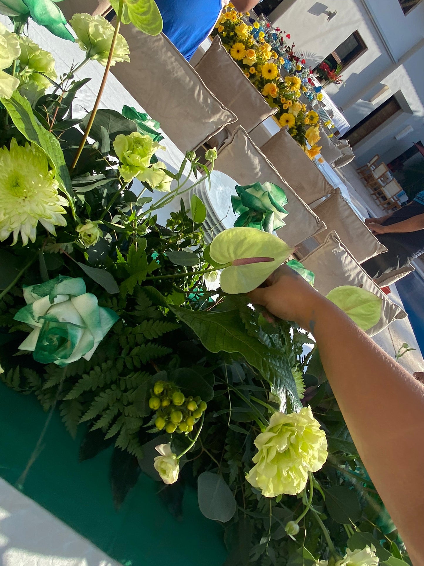 Camino monocromático